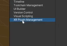 Plugin XR Plugin Management