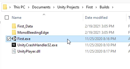 files of a compilation of a game or application for windows made in unity